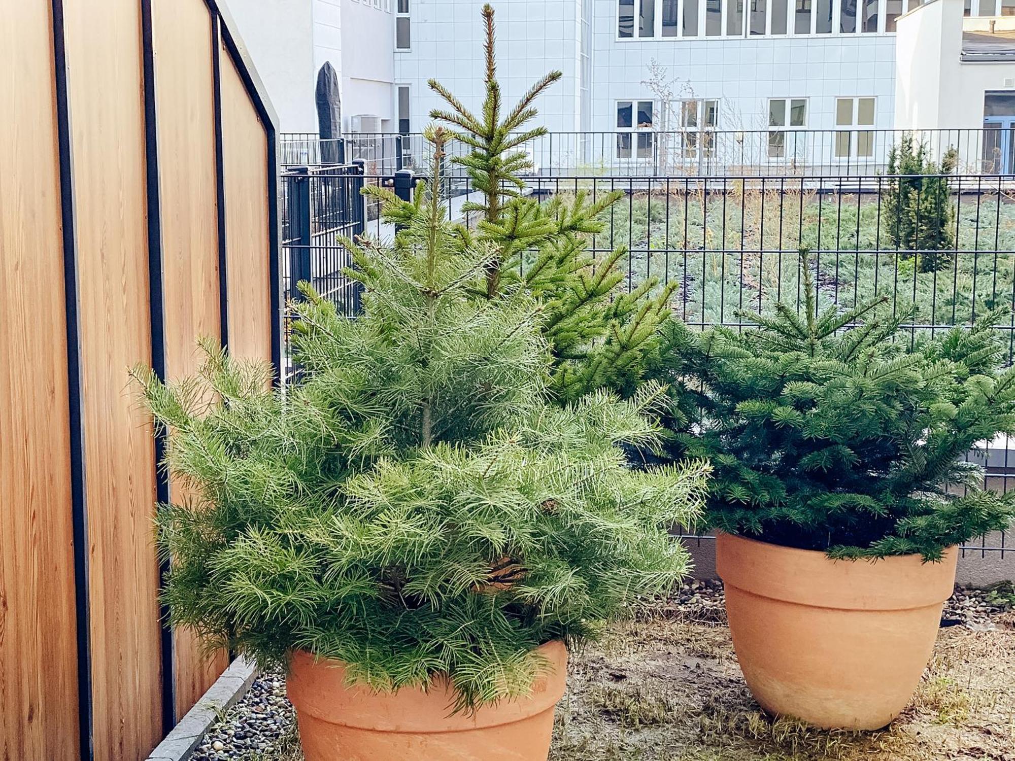 One Apartamenty Gasiorowskich 4 Poznaň Exteriér fotografie